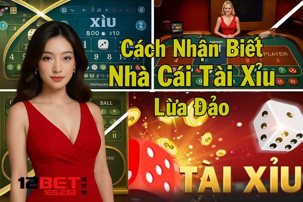 CEO Lại Văn Huy 12Bet Hướng Dẫn Cách Nhận Biết Nhà Cái Tài Xỉu Lừa Đảo 2 Hướng dẫn cách nhận biết nhà cái tài xỉu lừa đảo